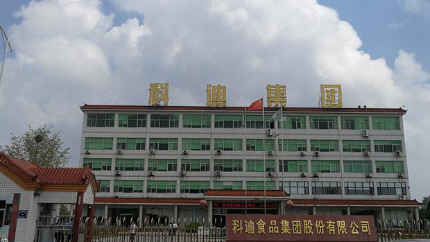 科迪乳业最新动态与小巷特色小店的探秘之旅