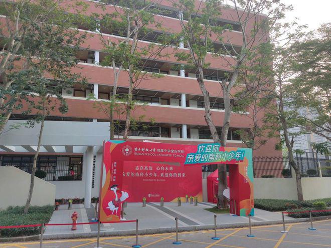 新凤鸣最新动态更新