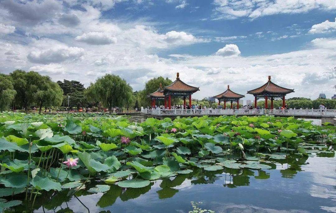 盐亭招聘网最新招聘，探索自然美景，寻找内心平静之旅