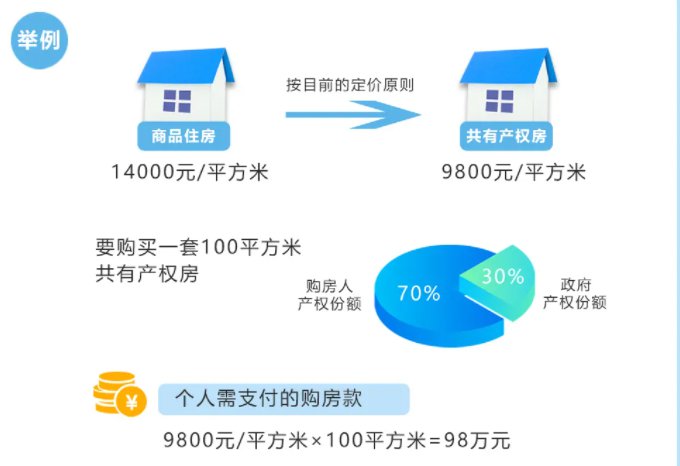 共有产权房最新动态，深度解析与观点阐述