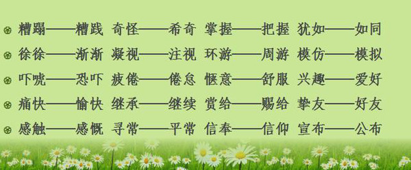 最新近义词的奇妙世界探索