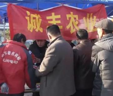 金乡辣椒最新价格及自然美景探索之旅