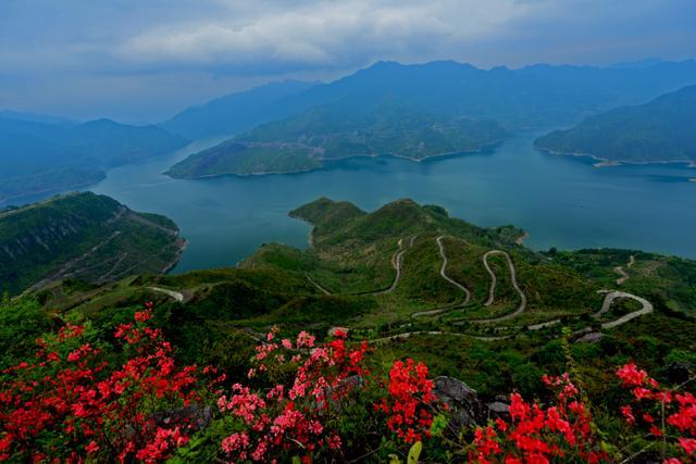 桂平最新招聘信息及自然美景探索之旅，寻找内心平静之旅