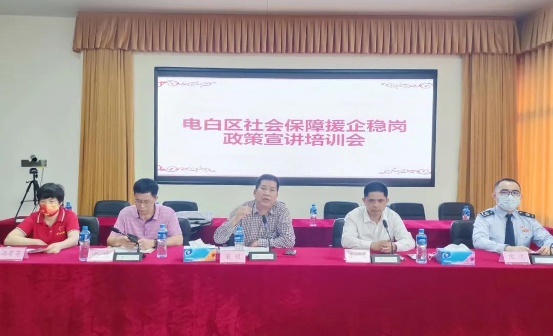 社会保险最新政策详解与步骤指南