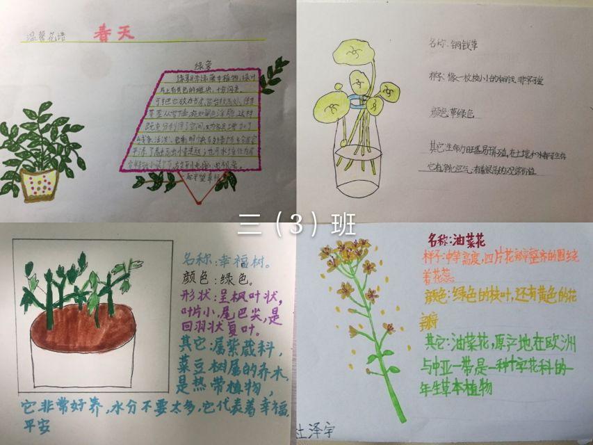 科技与自然融合