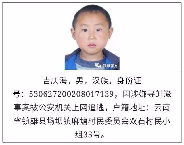 河南最新通缉犯名单揭秘，警示与科普之窗