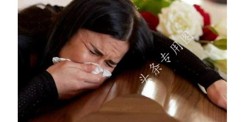 小明保险故事与友情之旅，最新保险资讯与新闻速递