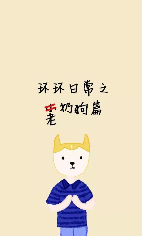 中民投最新动态，日常小故事里的友情与温馨陪伴时光
