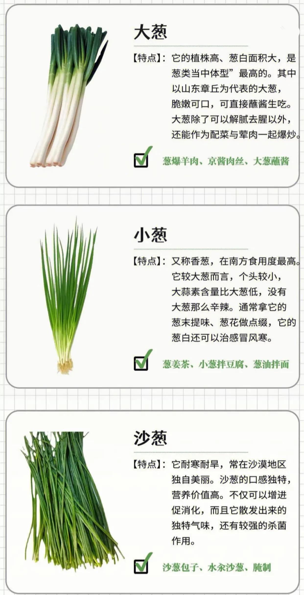 山东大葱最新价格揭秘🌱✨