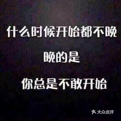 高手陈扬最新章节获取与阅读指南