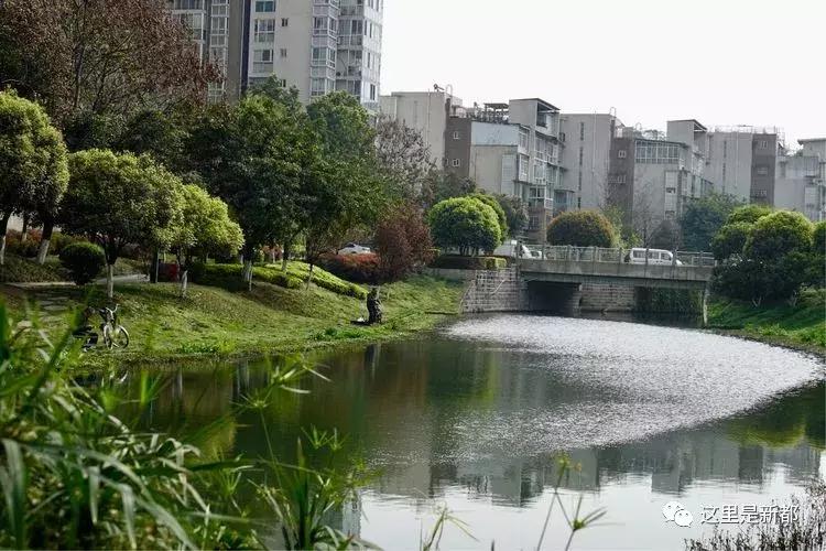 毗河二期最新动态，水波中的温情与陪伴