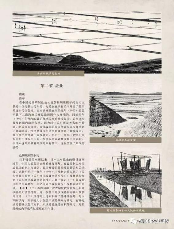 旅顺最新招聘信息汇总