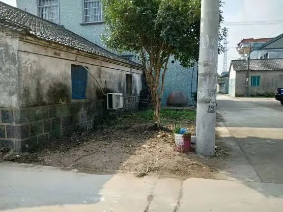 盾安环境最新动态及小巷深处的独特风味探索