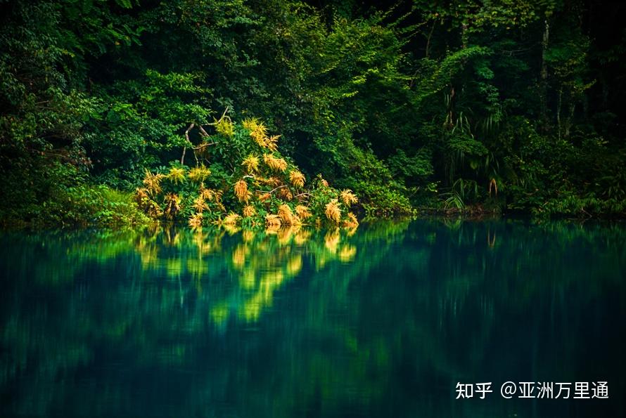 FNIS最新版，探索自然美景之旅，寻找内心的平静与宁静