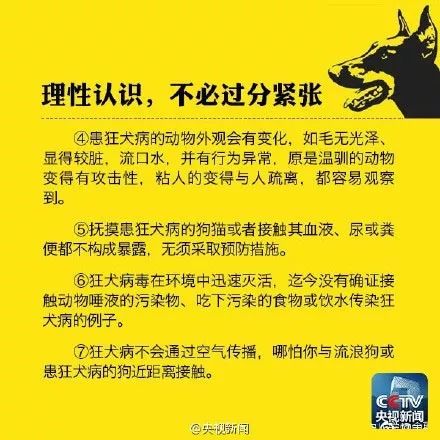 最新幼儿园保安招聘，与自然同行，寻找内心的宁静乐园