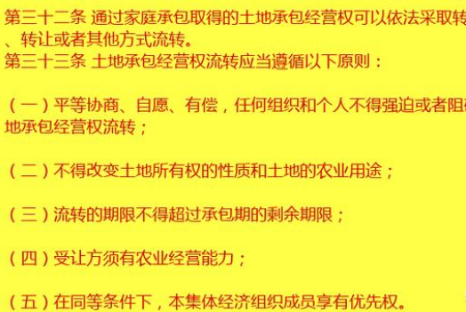 合同法最新版本，心灵旅行中的契约守护者