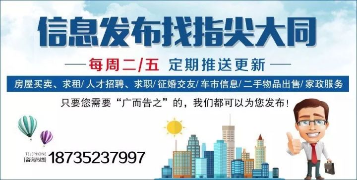 仪征政府论坛最新招聘信息及应聘指南