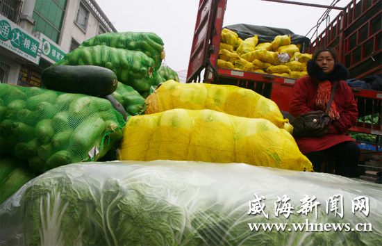 威海蔬菜批发市场最新价格探索之旅，自然美景与内心平静的交融