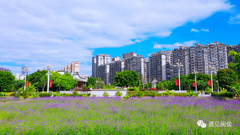 安庆绿地四期房价揭秘，与自然美景的邂逅之旅