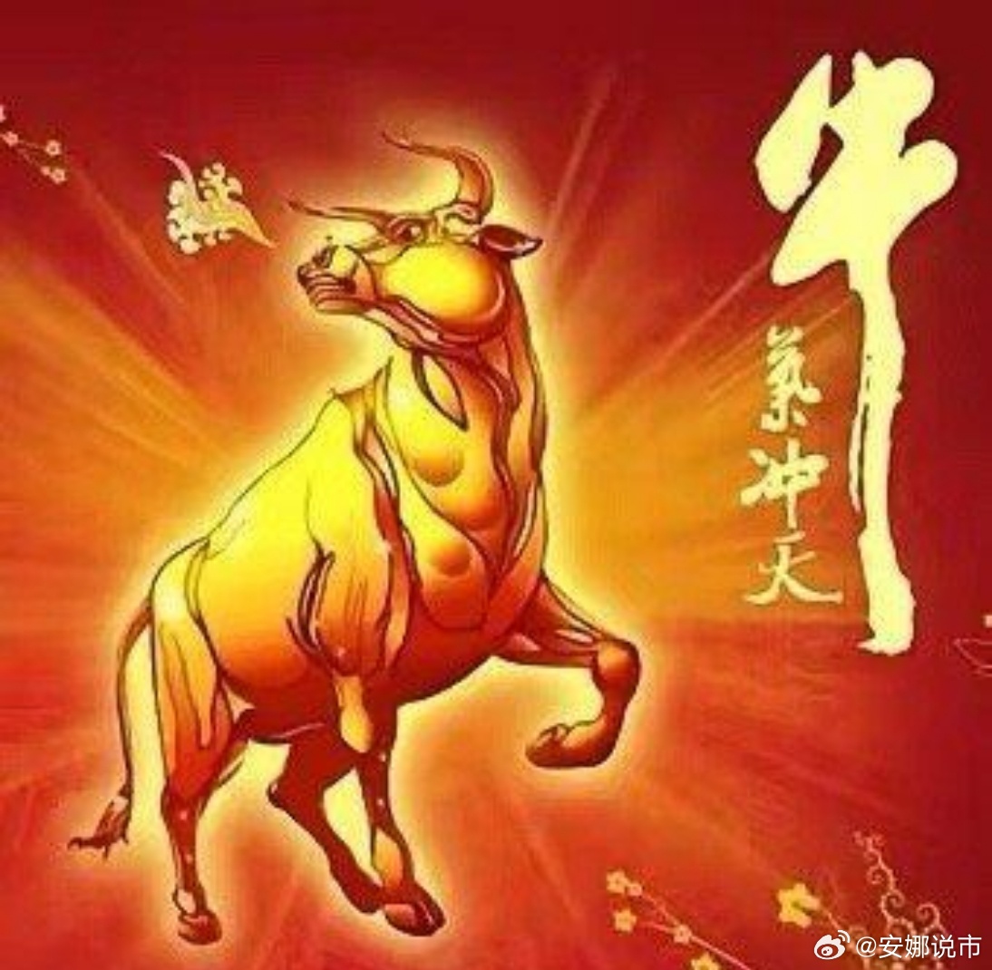 牛元帅最新版本下载，变化中的学习之旅，自信与成就的力量之源