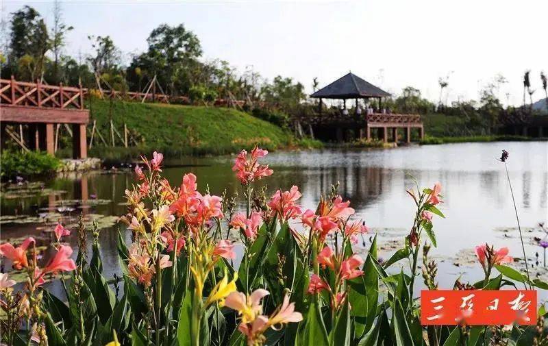会宁西湖庭院最新动态，探索自然美景，寻找内心平和宁静的旅程